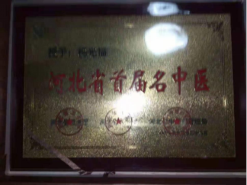 中国当代名医——杨光福