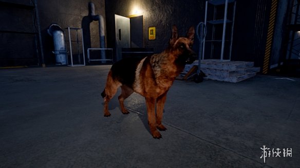 狗狗游戏《Doggy Rise》上架Steam 支持简体中文！