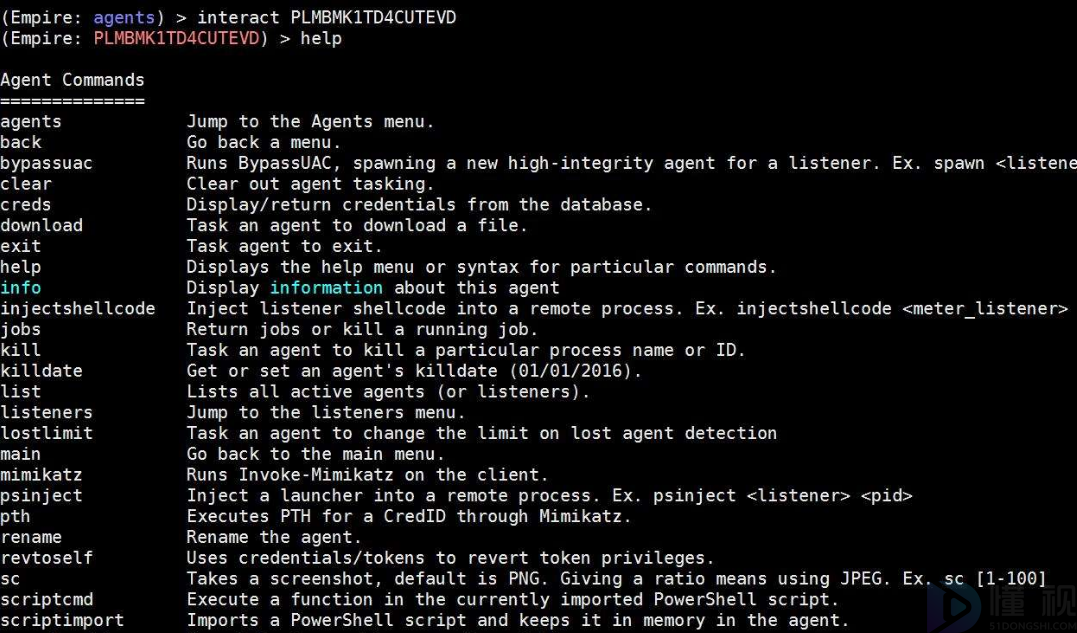 windows server