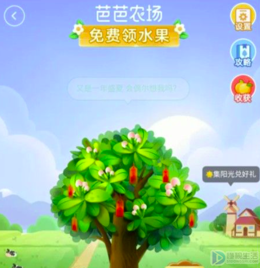 巴巴农场pk在哪里(巴巴农场怎么pk赢肥料)