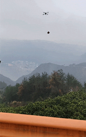 小姐姐的内裤竟然被门夹住了？动图下面这根是什么东西