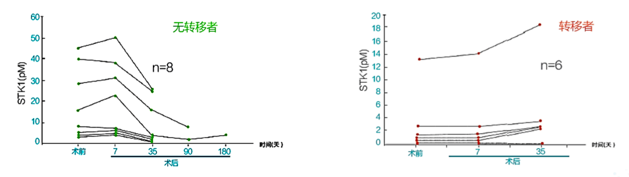 肿瘤患者如何更精准评估疗效?体可问TK1技术是个答案