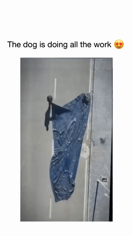 孩子你倒是再给点力呀 动图 小门差点都给挤坏了