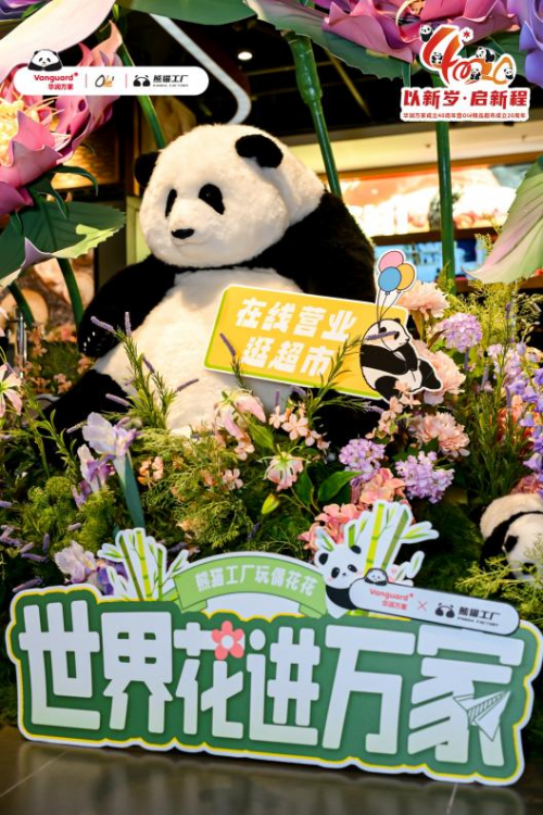 火热出圈，走进Olé精品超市邂逅顶流花花玩偶
