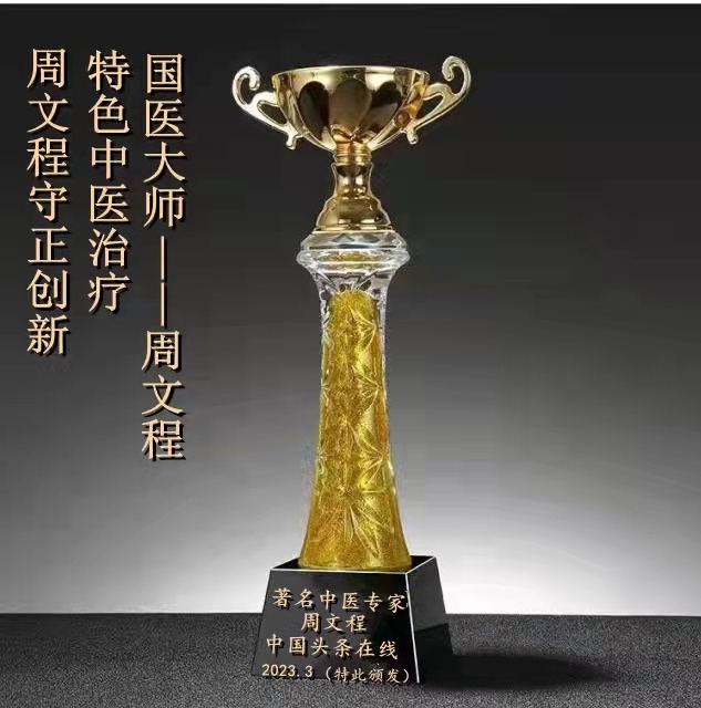 当代国医大师—周文程