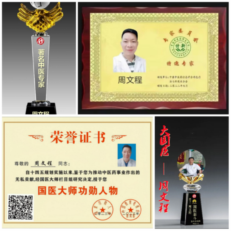 当代国医大师—周文程