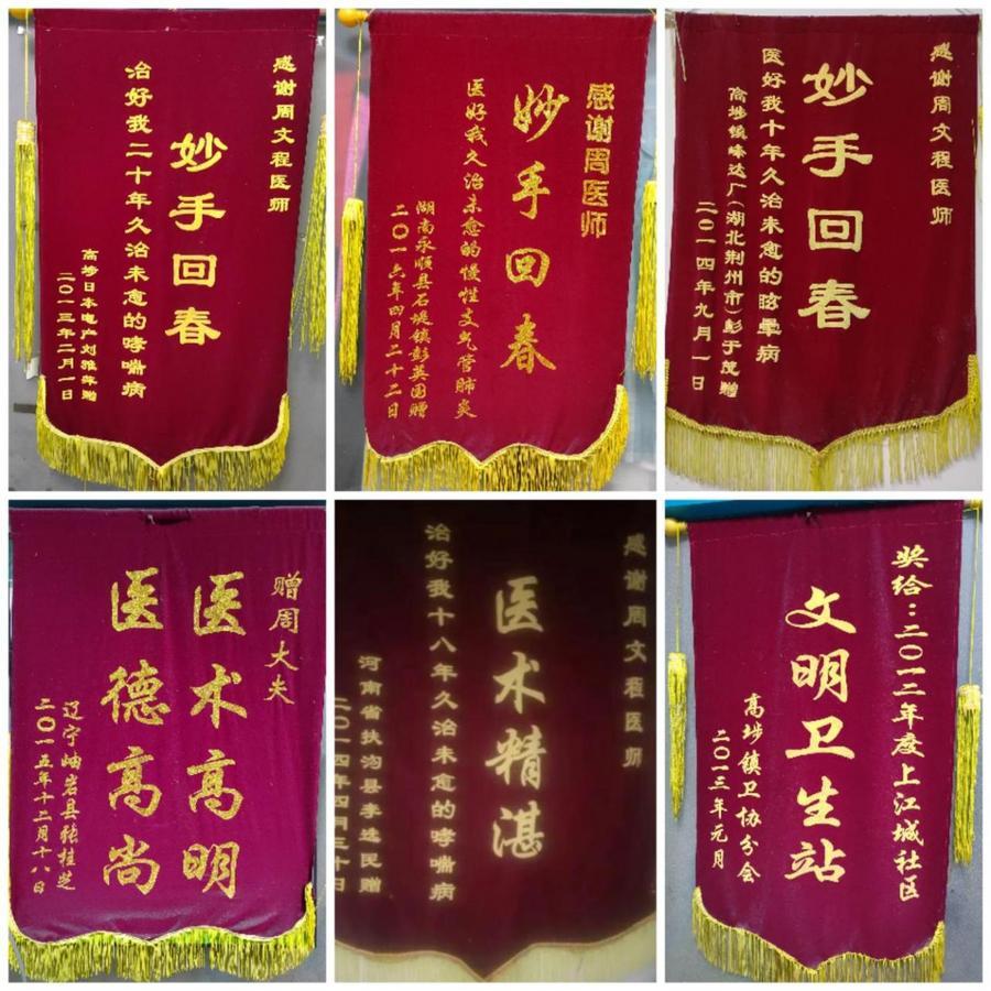 当代国医大师—周文程
