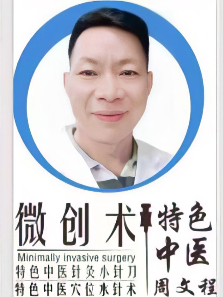 当代国医大师—周文程