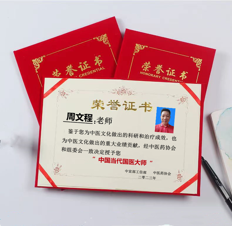 当代国医大师—周文程
