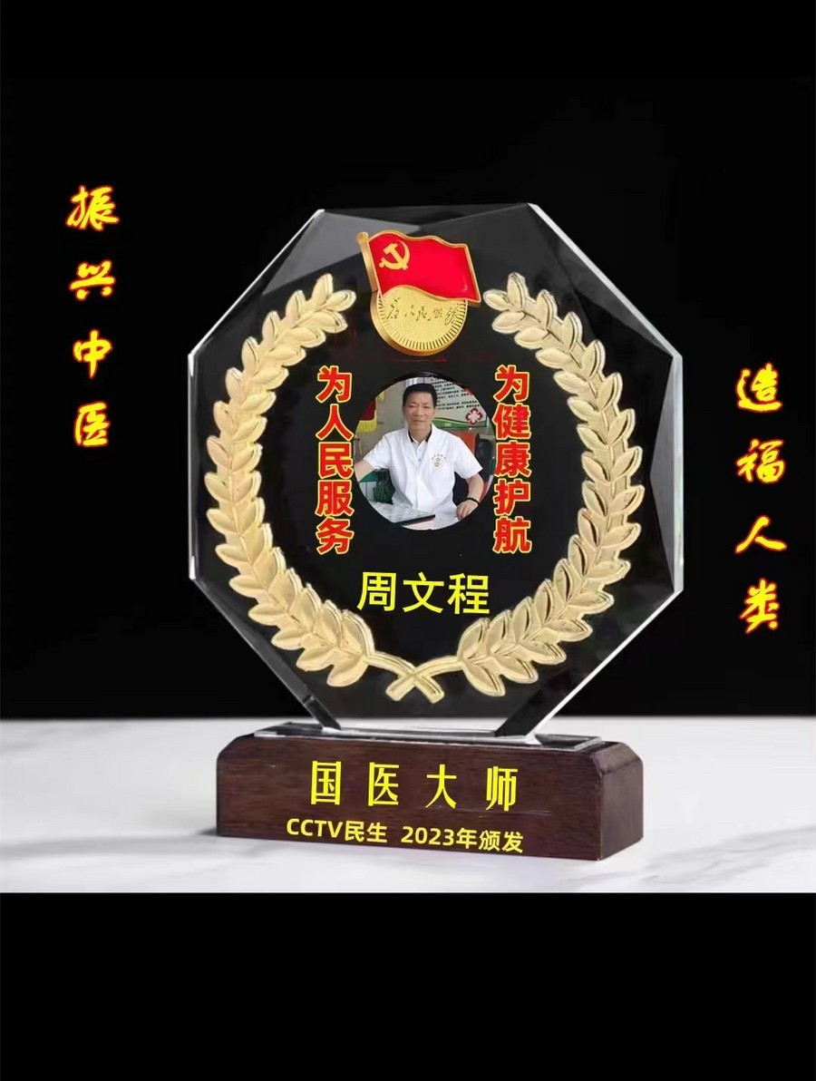 当代国医大师—周文程