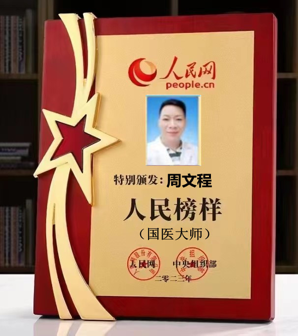 当代国医大师—周文程