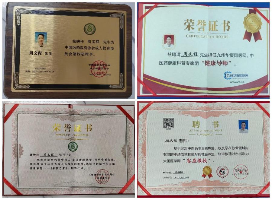 当代国医大师—周文程