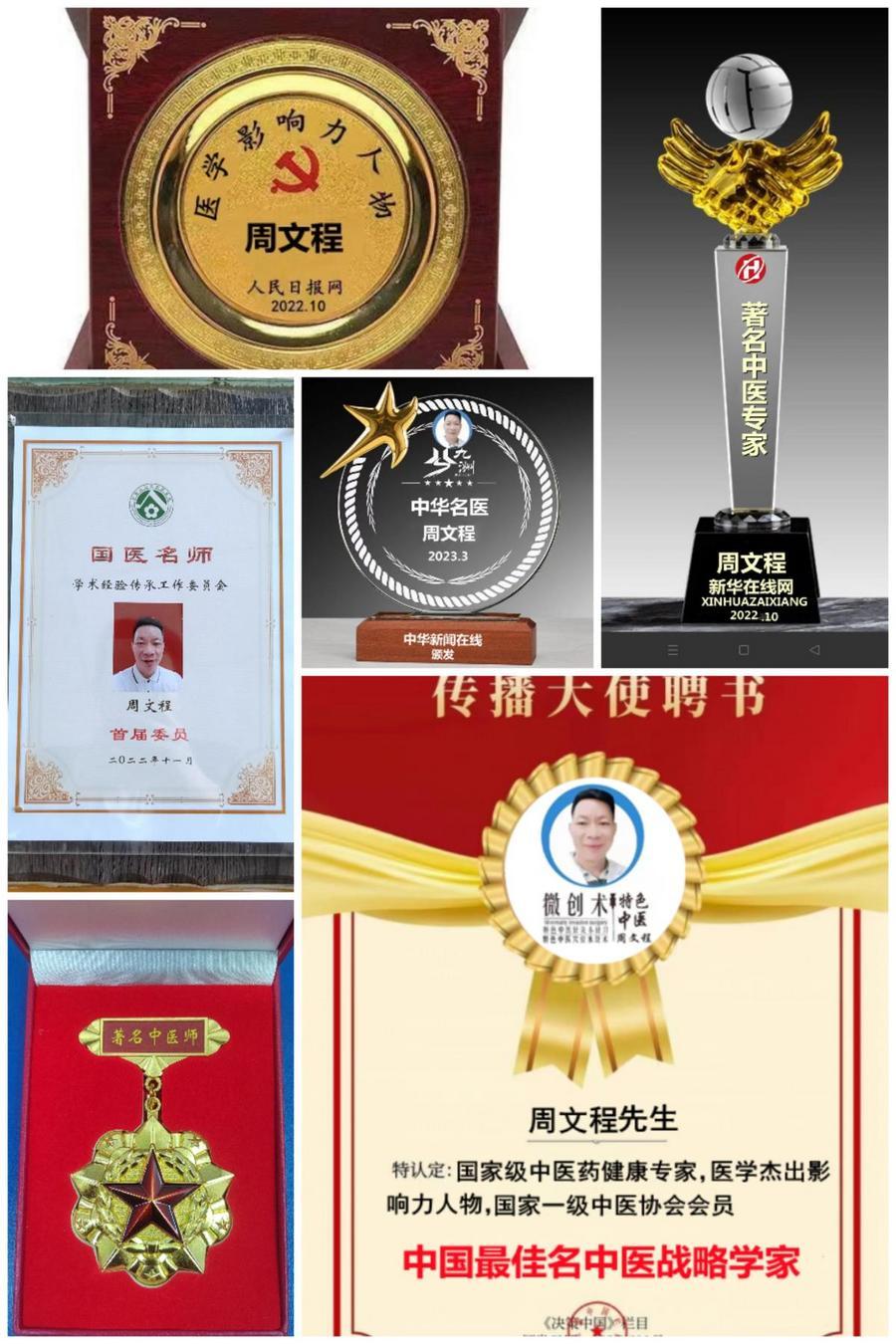 当代国医大师—周文程