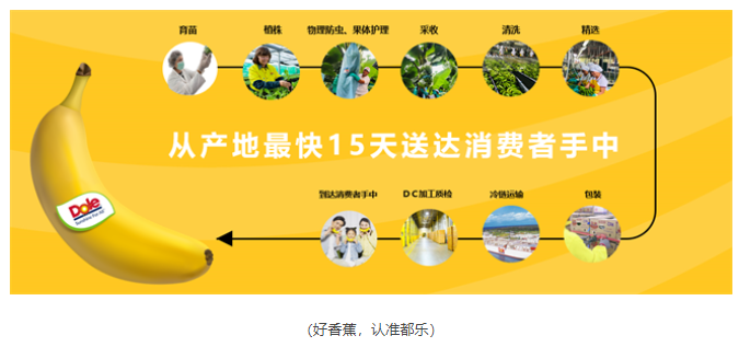 抵制造假，都乐和你在一起！