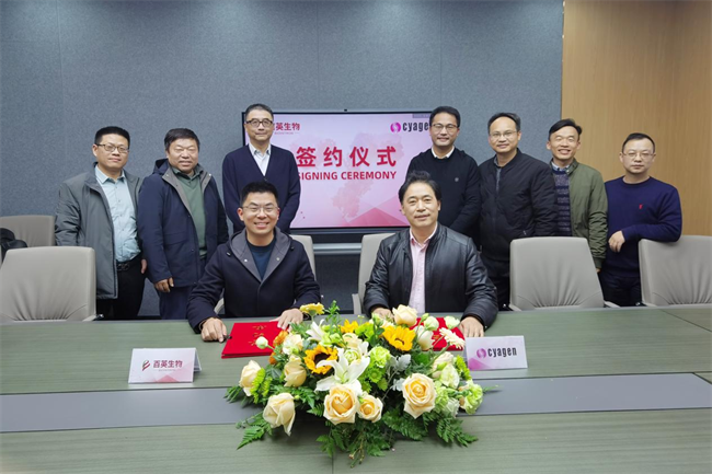 赛业生物携手百英生物，共绘抗体药物创新研发宏伟蓝图