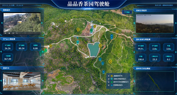 超级码科技股份携手品品香开数字茶业新范式，实现全产业链数智化闭环