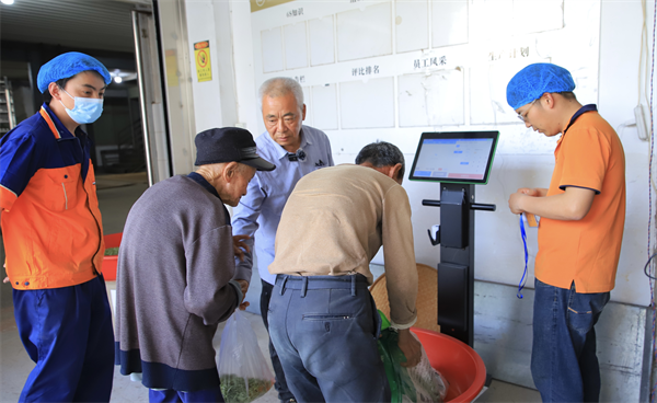 超级码科技股份携手品品香开数字茶业新范式，实现全产业链数智化闭环