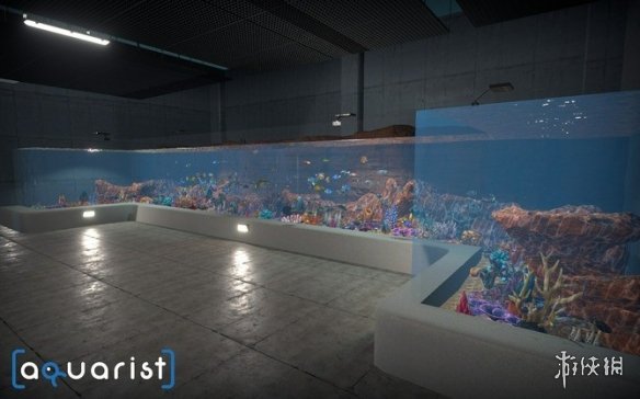 水族馆模拟经营游戏《Aquarist》Steam正式推出！