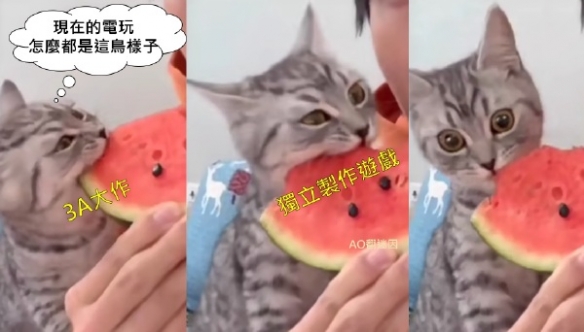 3A大作寡淡无味独立游戏全是神作 囧图 想回家玩游戏