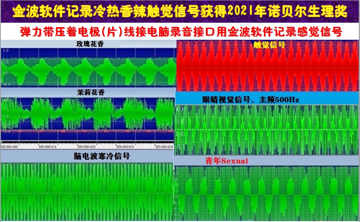 原来11位现在12位华人诺贝尔奖获得者3位代表中国获奖