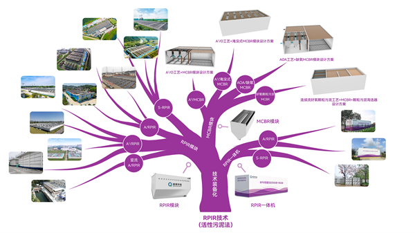 清研环境闪耀2024水业战略论坛，揭秘企业创新实践之道