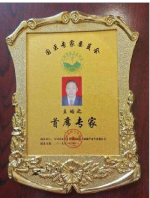 卓越成果写传奇 悬壶济世誉华夏著名中医专家——王皓之