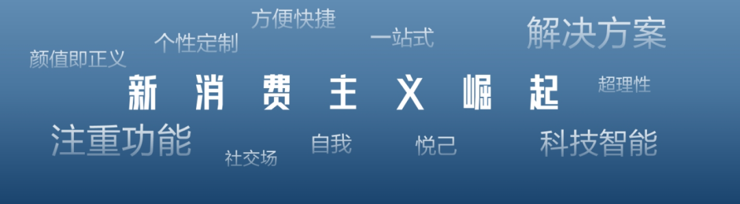 张永志专栏 