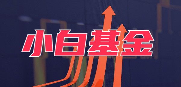 新手基金从零开始投资(新手基金从零开始投资可靠吗)