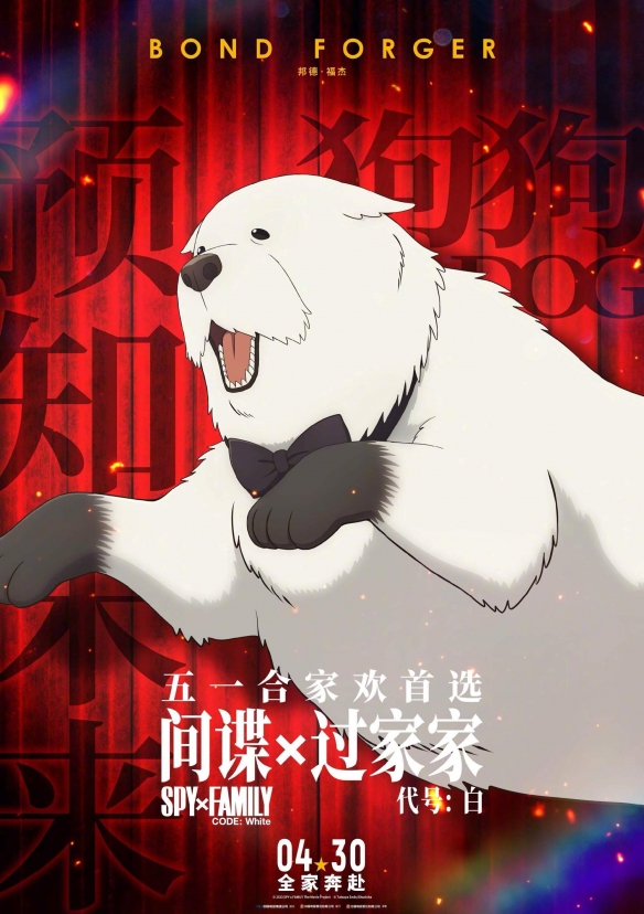 《间谍过家家 代号：白》发布全家奔赴版预告！