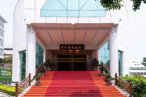 探秘山海画廊，醉美漳州之旅