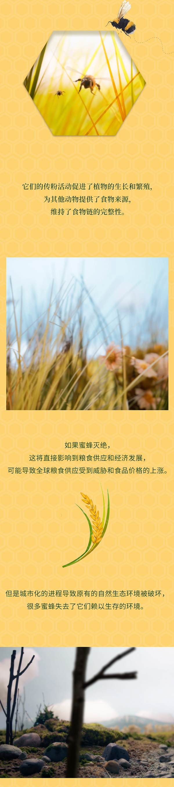乾唐轩神密之旅
