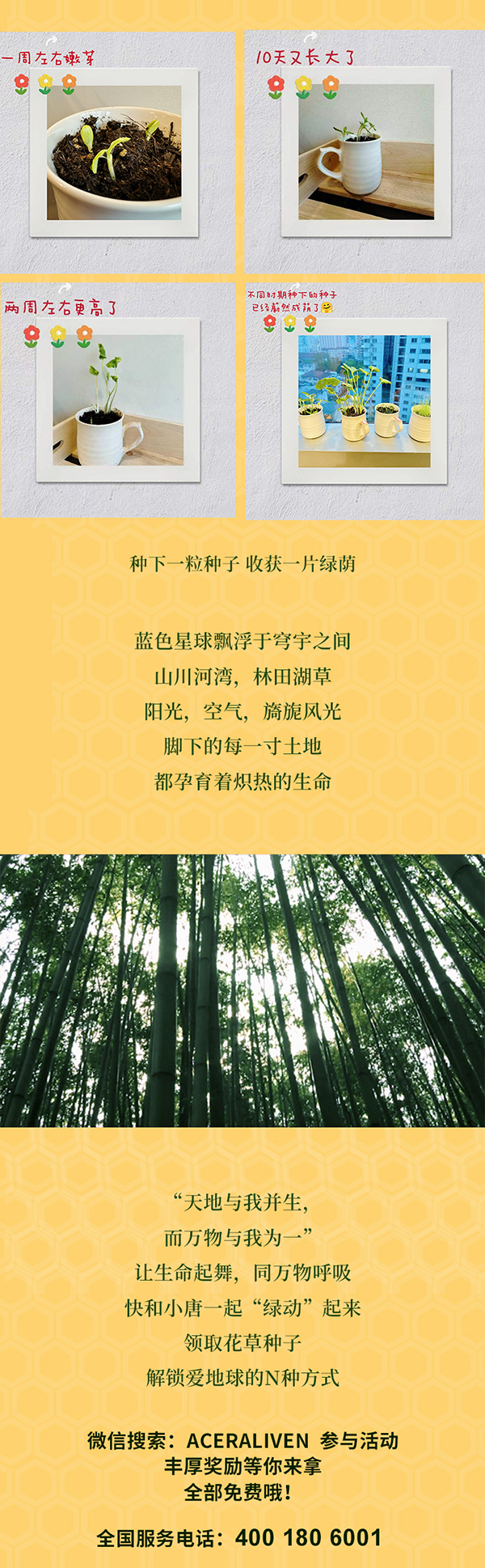乾唐轩神密之旅