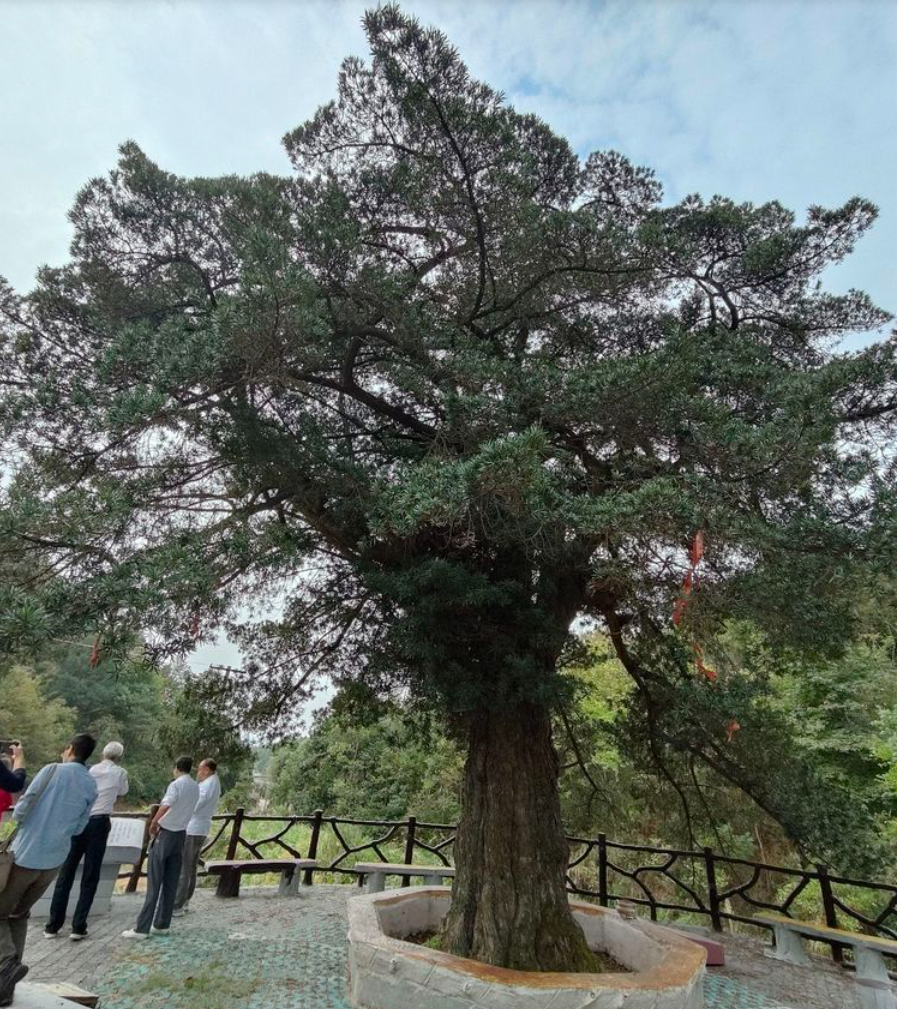 罗田旅游的好去处三里畈(部分景点图片)