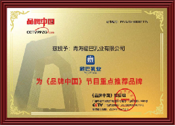 为什么身边的独立女性都在选藏巴？