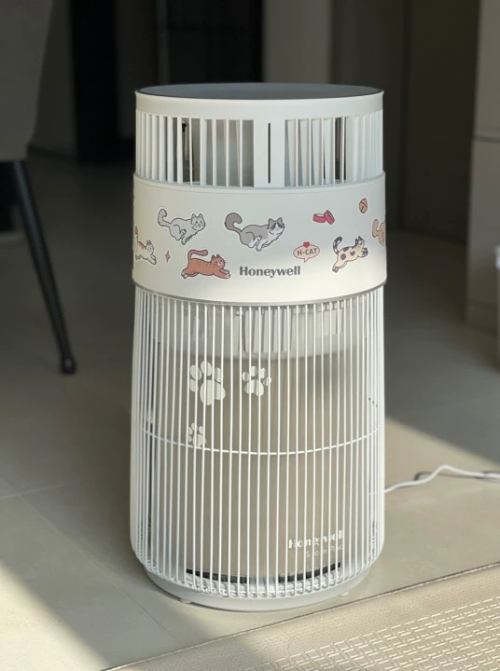 再也不怕长辈叫我把猫送走，宠物空气净化器真香！