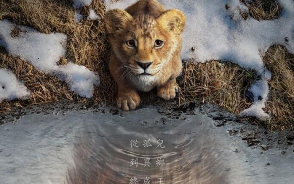 《狮子王：木法沙》迪士尼释出前导预告 12月在台上映