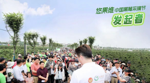 中国黑莓采摘节发起者——悠果维重塑新国货