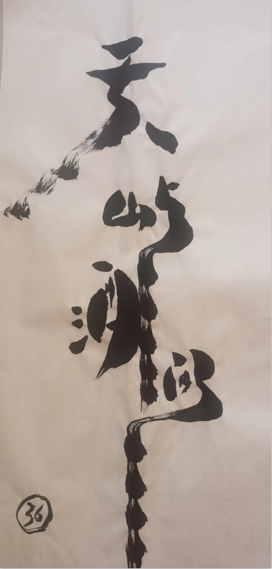 杨树龙——中国著名的美术书法家、原中阿书画院院长、中国著名的社会活动家