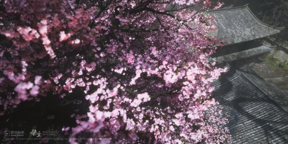 《黑神话：悟空》大量物料公布：包含原画、壁纸等！