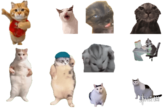 鼠鼠文学之后，这届年轻人用猫meme抱团取暖