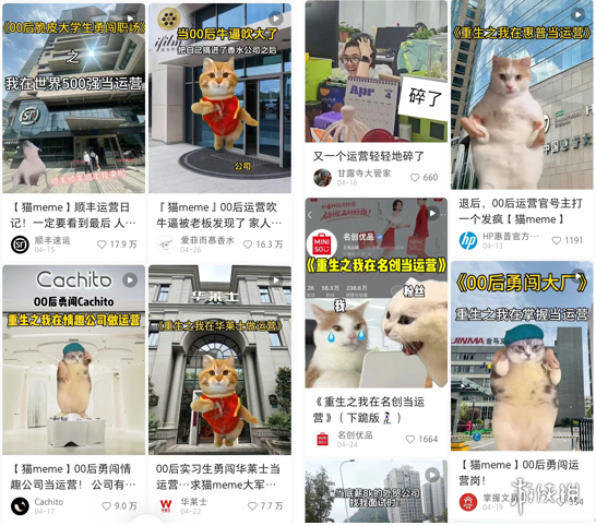 鼠鼠文学之后，这届年轻人用猫meme抱团取暖