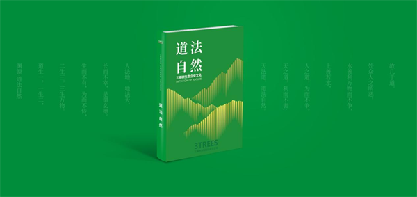 洪杰：追梦二十载，再造新“三棵树”