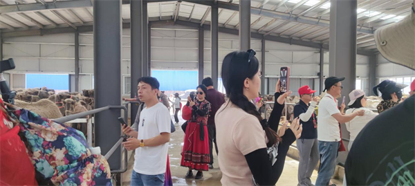 本源乳业盛邀百位网红达人共探神奇特色乳之源，深度体验乳品文化之旅