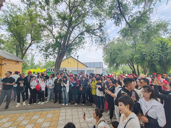 那拉集团首届乳品文化节盛大开幕，百万网红达人共赴溯源之旅，共绘新疆巩留县发展新篇章