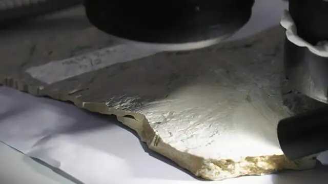 我国内蒙古发现一枚完整的蜻蜓化石 距今1.65亿年！