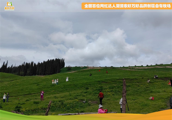 家好万好品牌工厂本源乳业质量月，共鉴家好万好·本源之醇