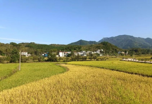 罗田富居寨自然生态旅游风景区欢迎你，罗田向导蔡世峰