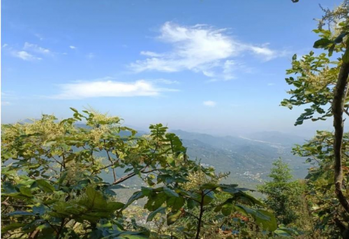 罗田富居寨自然生态旅游风景区欢迎你，罗田向导蔡世峰
