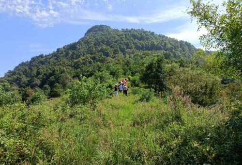 罗田富居寨自然生态旅游风景区欢迎你，罗田向导蔡世峰