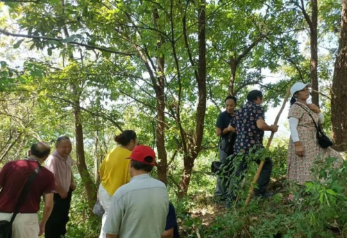罗田富居寨自然生态旅游风景区欢迎你，罗田向导蔡世峰